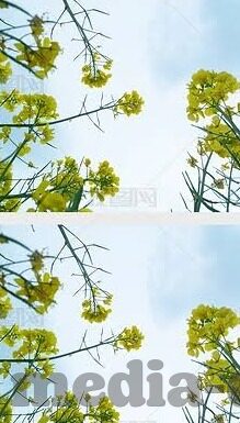 2019年泡伦理-2019年，泡伦理的微妙平衡