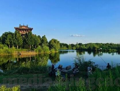 成人性视频4-成人性视频4，网络时代的隐秘与挑战