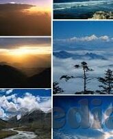 大象传媒在线视频播放-大象传媒，在线视频播放的革新力量