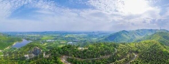 大象传媒自媒体公司-大象传媒，自媒体时代下的创新与影响