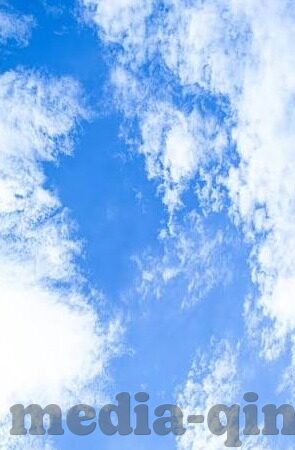 国产av麻豆网站-一、迷失在幻象中的个体