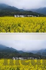 麻豆传媒免费网站-关于麻豆传媒，拥抱创新的数字视频平台新体验