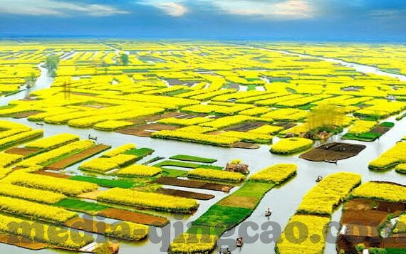 麻豆传谋app下载b站-麻豆传谋App，B站上的创意与创意者的舞台