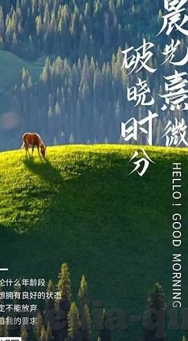 人妻中文字幕精品-探索人妻中文字幕精品的魅力与边界