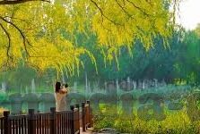 糖心vlog官网入口现在时间-探秘精彩生活 —— 糖心Vlog，探索现在时刻的纯净之旅